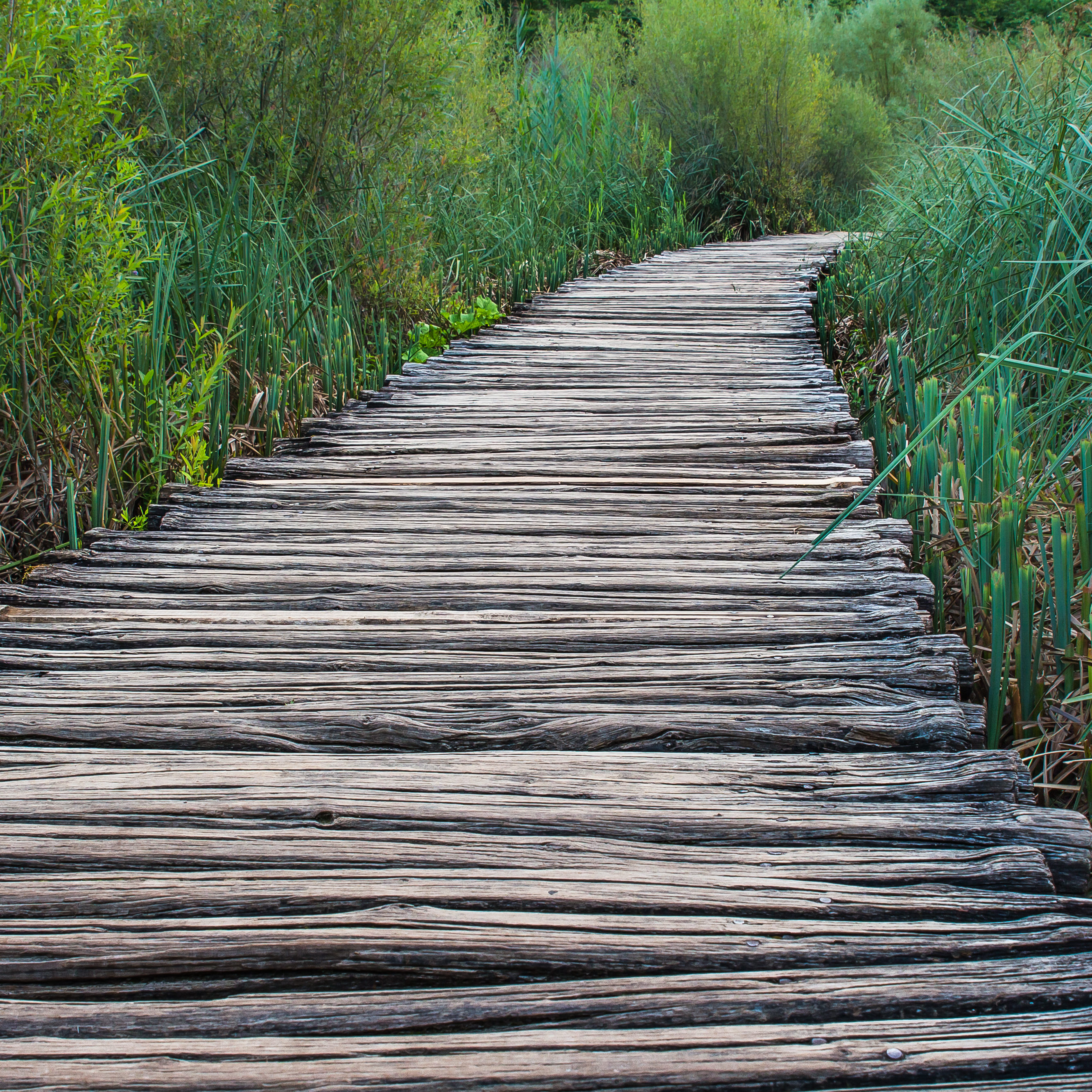 Footpath
