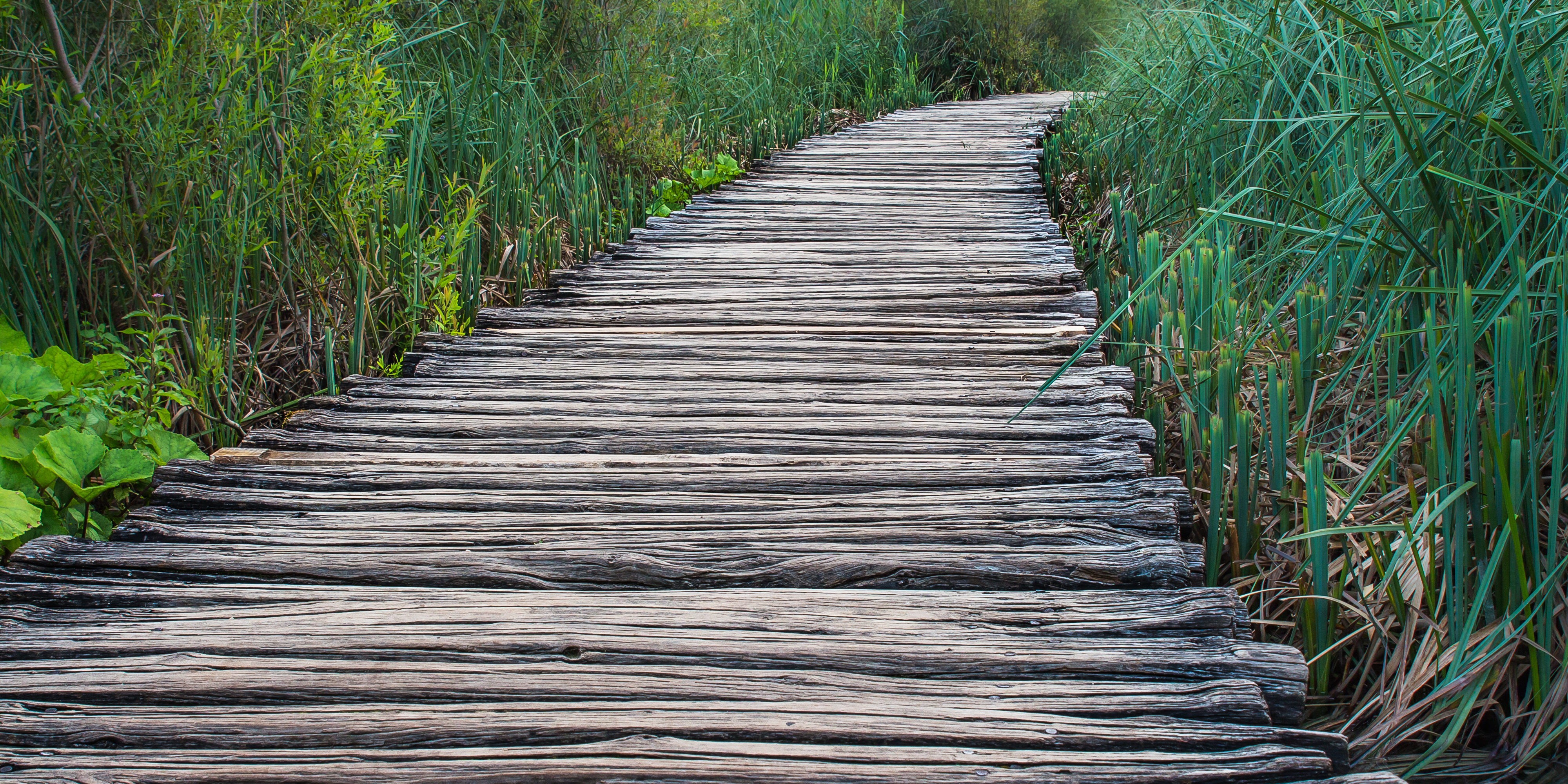 Footpath