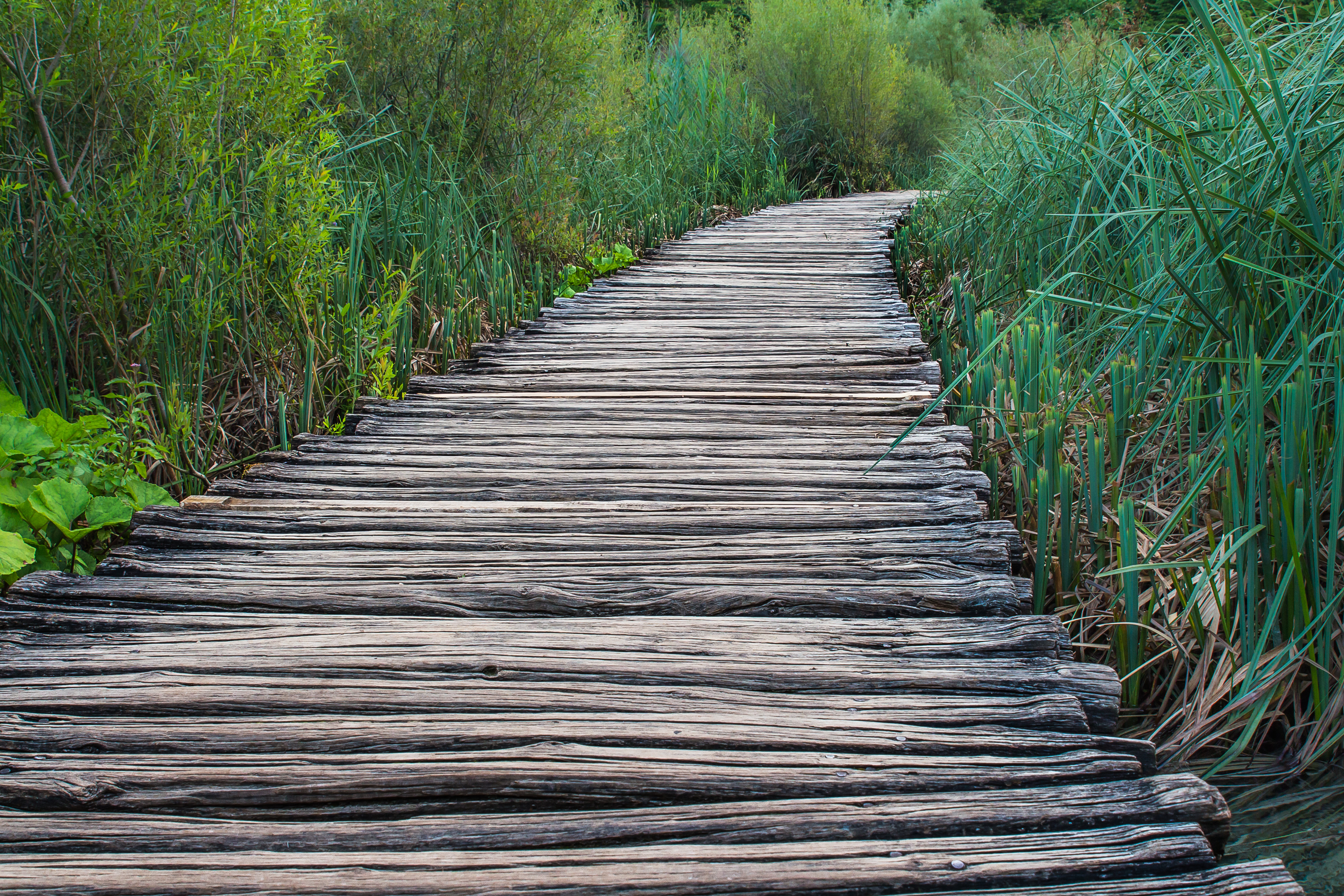 Footpath